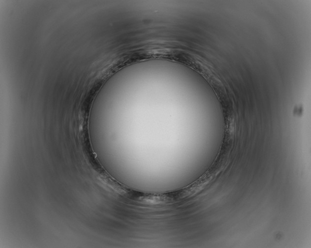 X0000091500567200708161236