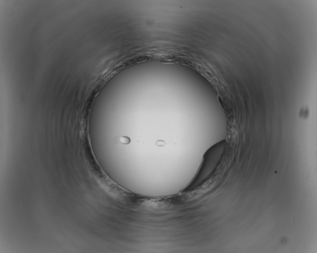 X0000091500568200708161236