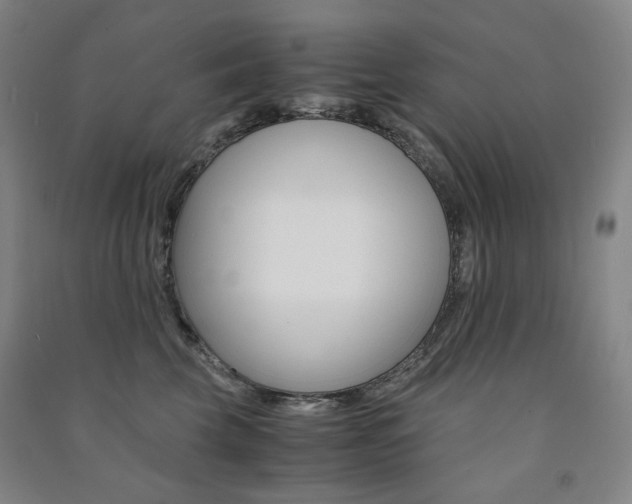 X0000091500569200708161236