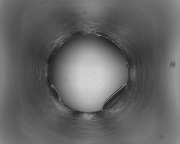 X0000091500570200708161236