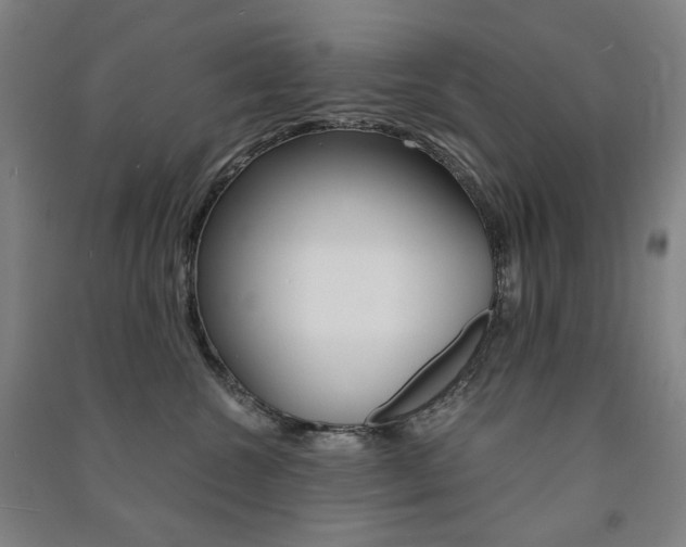 X0000091500572200708161236