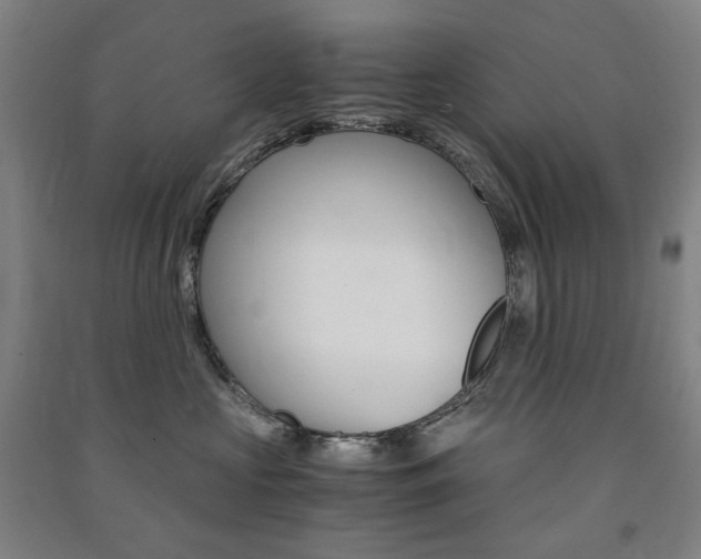 X0000091500573200708161236