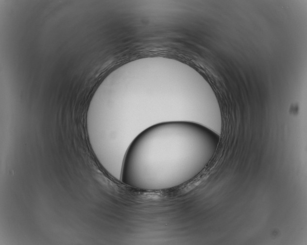 X0000091500574200708161236