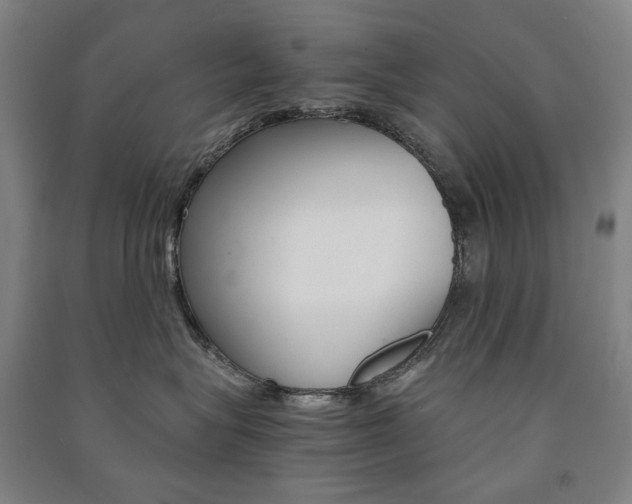 X0000091500575200708161236
