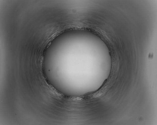 X0000091500576200708161236