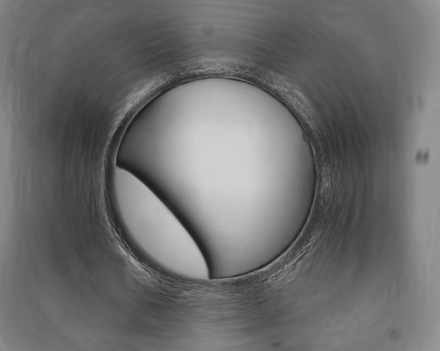 X0000091500578200708161236