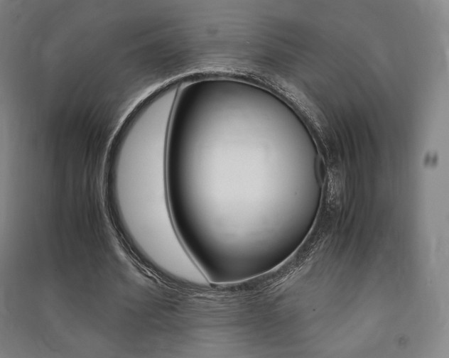 X0000091500580200708161236