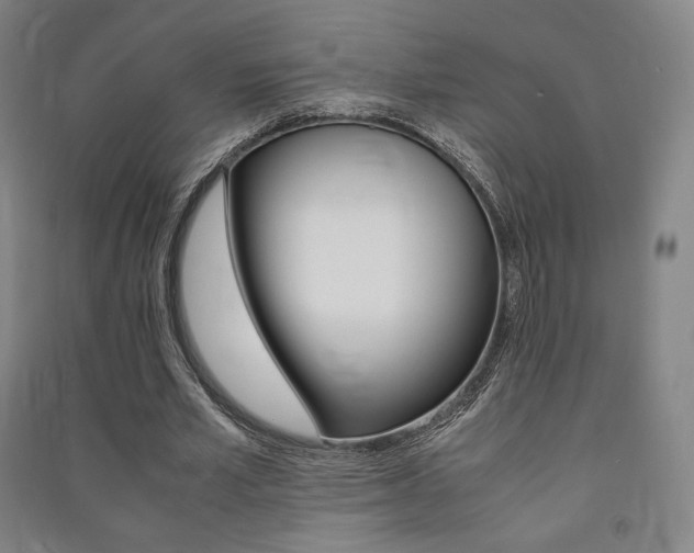 X0000091500581200708161235