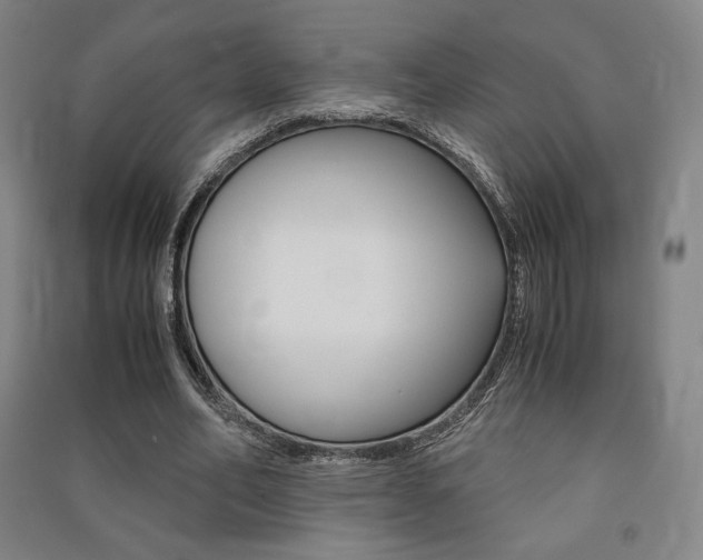 X0000091500582200708161235