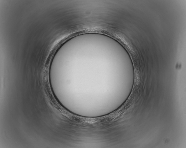 X0000091500583200708161235