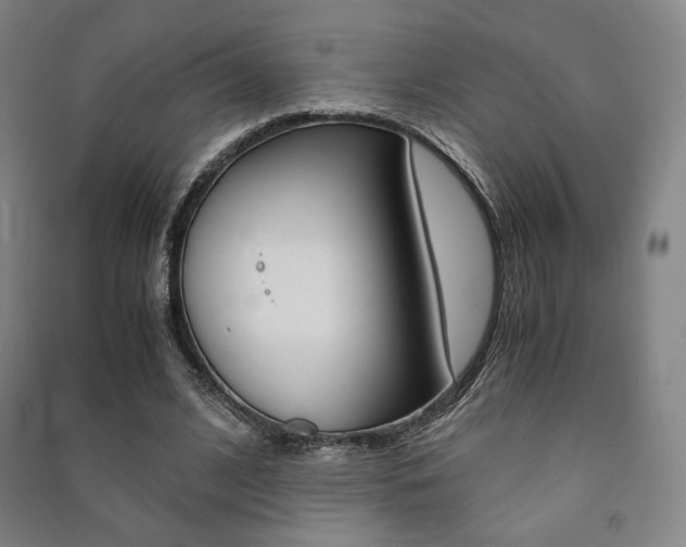 X0000091500584200708161235