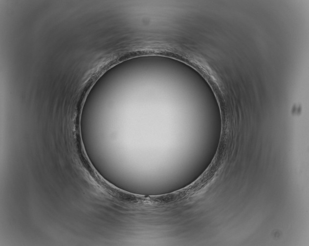 X0000091500585200708161235