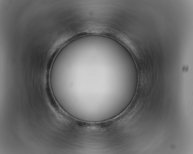 X0000091500586200708161235