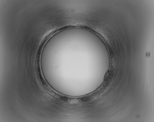 X0000091500587200708161235