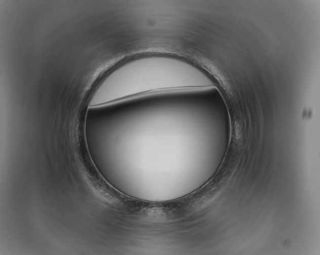 X0000091500588200708161235
