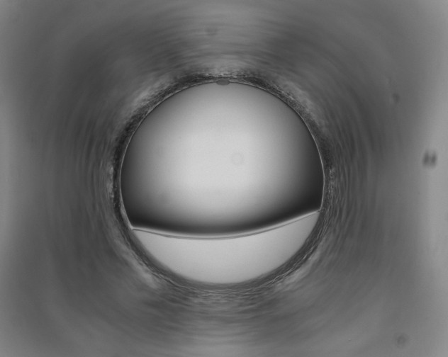 X0000091500589200708161235