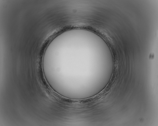 X0000091500591200708161235