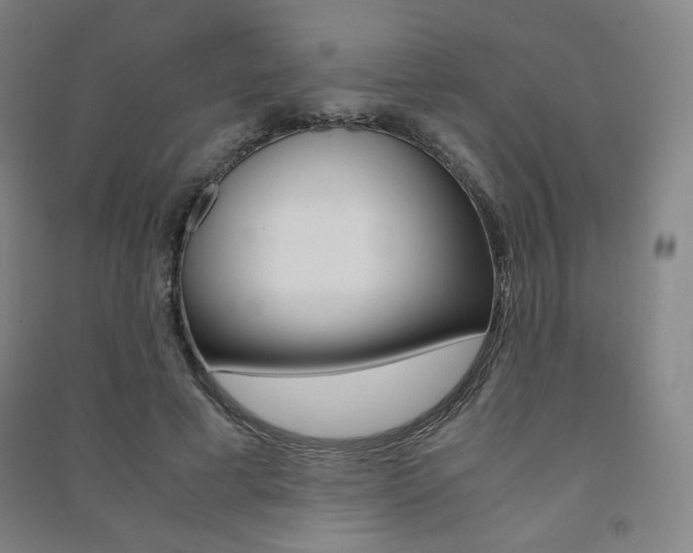 X0000091500593200708161235