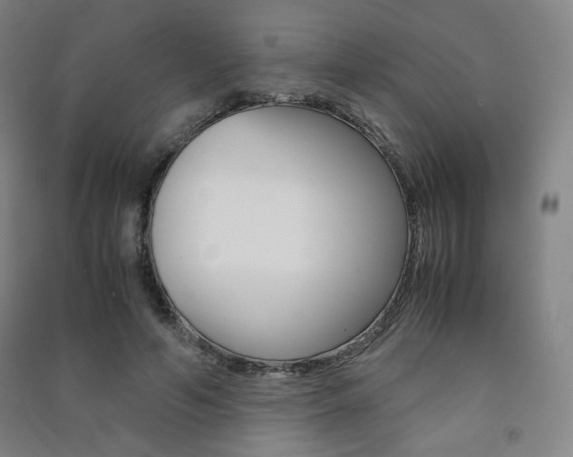 X0000091500594200708161235