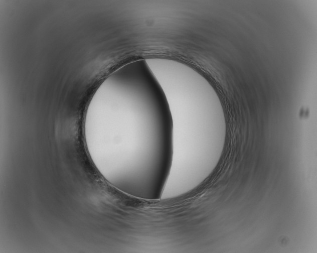 X0000091500595200708161235
