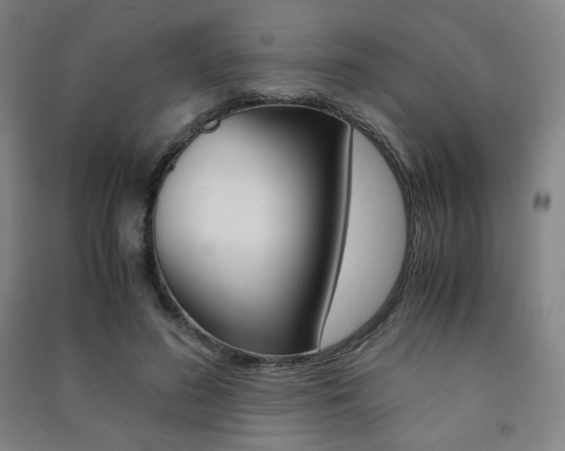 X0000091500596200708161235