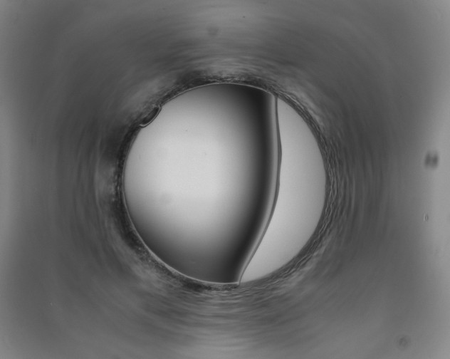 X0000091500597200708161235
