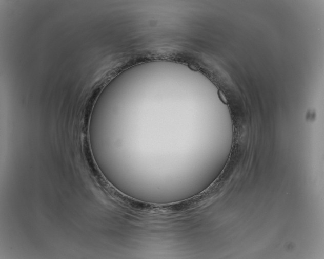 X0000091500599200708161235