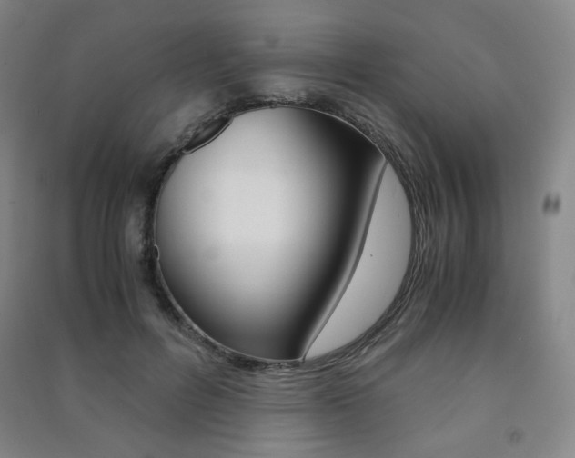 X0000091500600200708161235