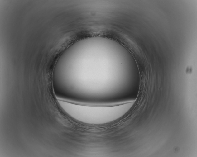 X0000091500601200708161235