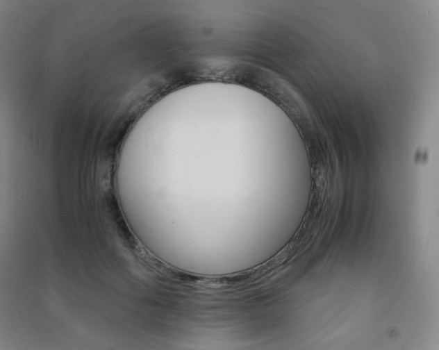 X0000091500602200708161235