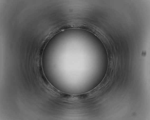 X0000091500604200708161235