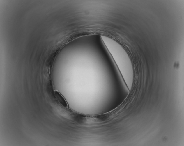 X0000091500605200708161235