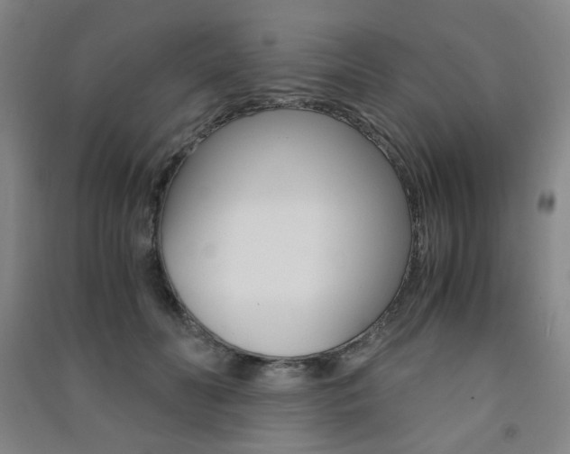 X0000091500606200708161235