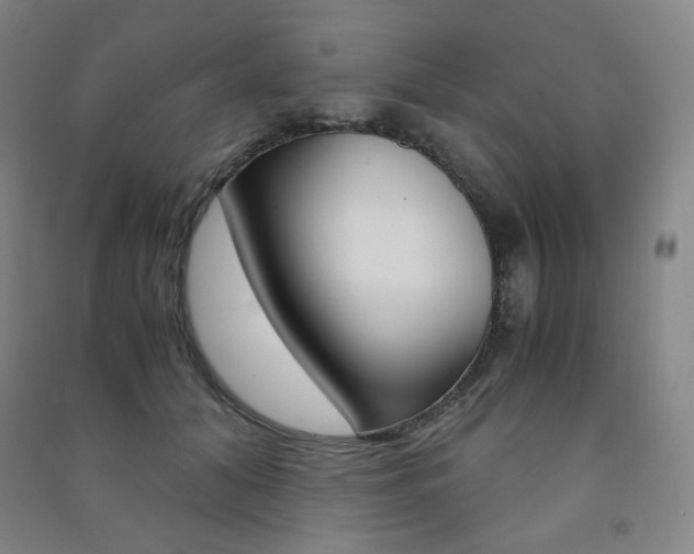 X0000091500608200708161235
