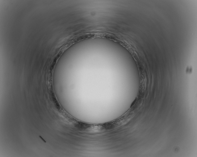 X0000091500609200708161235