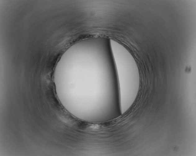 X0000091500611200708161235