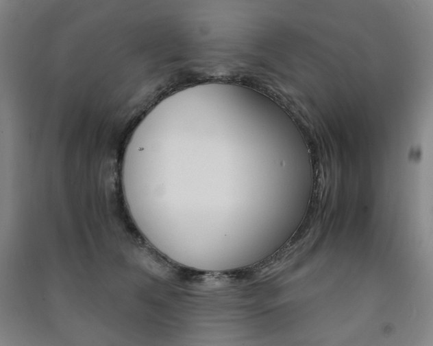 X0000091500612200708161235
