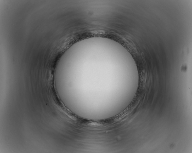 X0000091500614200708161235