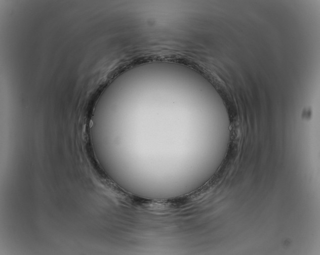 X0000091500615200708161235