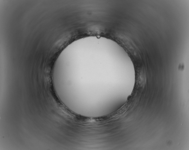 X0000091500616200708161235