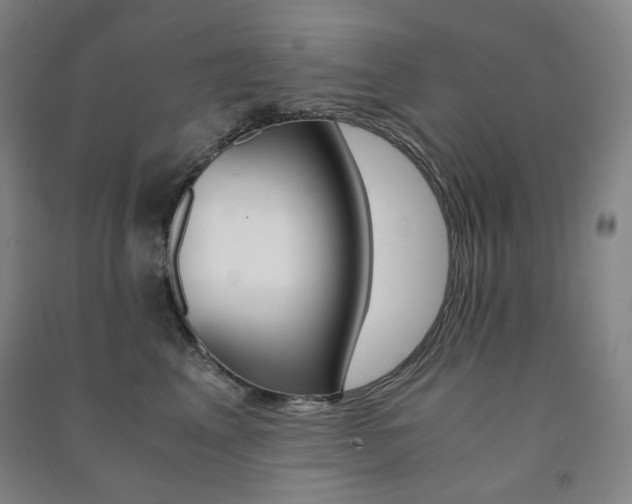 X0000091500617200708161235