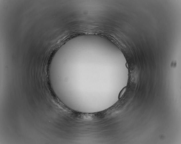 X0000091500618200708161235