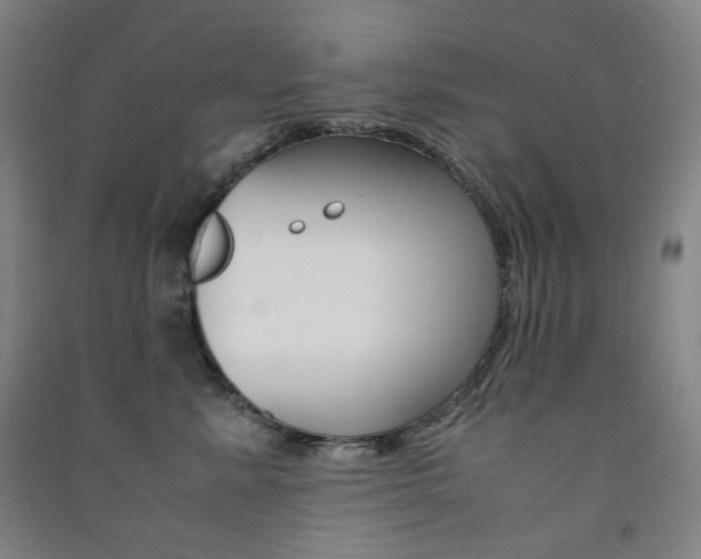 X0000091500619200708161235