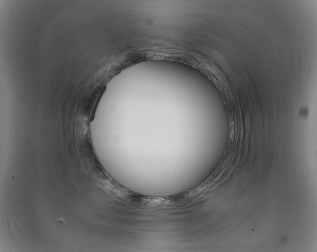 X0000091500621200708161235