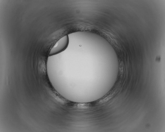 X0000091500622200708161235