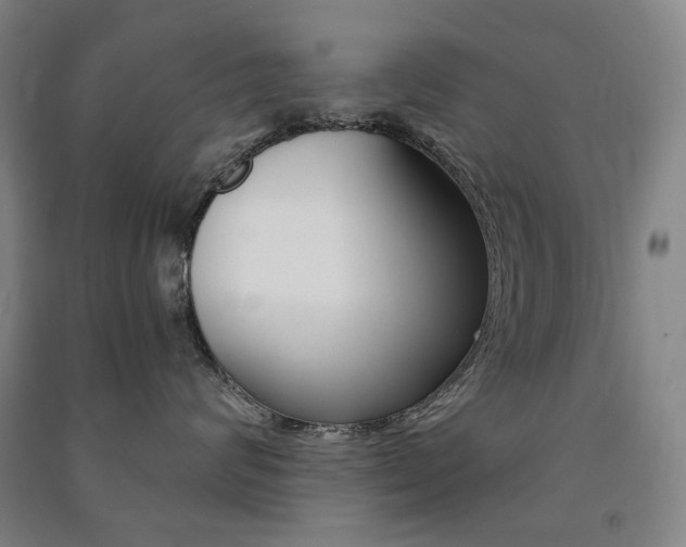 X0000091500624200708161235