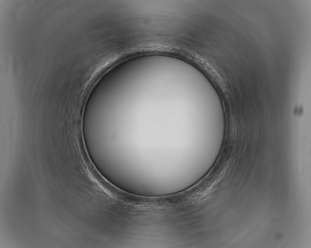 X0000091500625200708161234