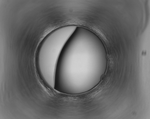 X0000091500626200708161234