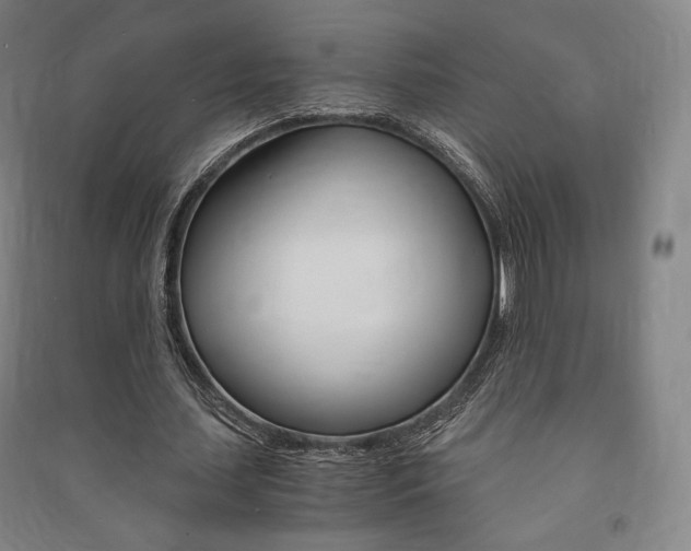 X0000091500627200708161234