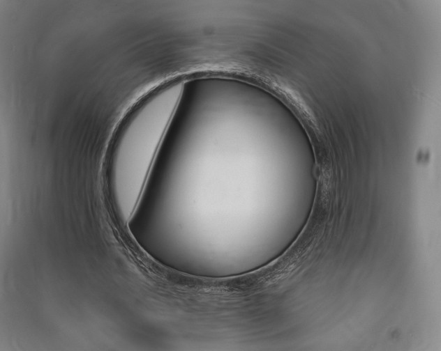 X0000091500628200708161234